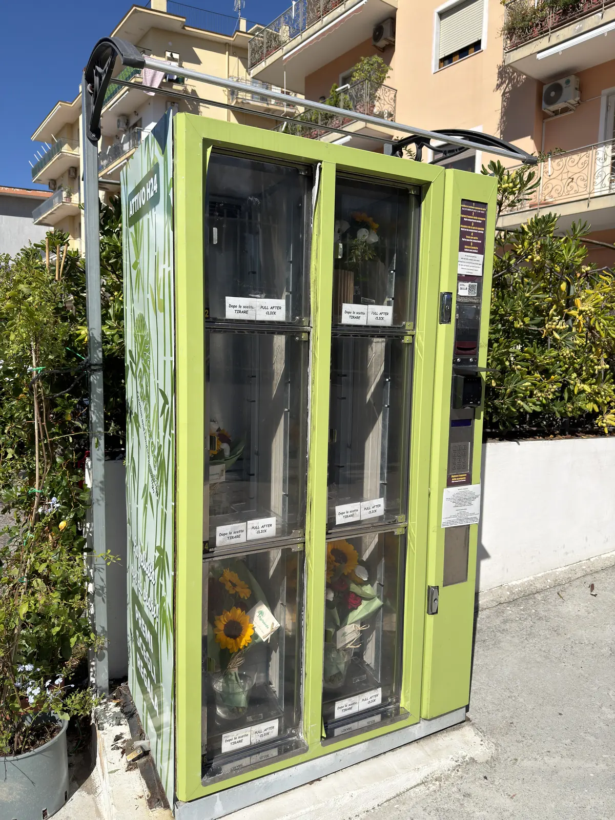 Il distributore di fiori aperto 24 ore su 24, con i mazzi pronti dietro le vetrine