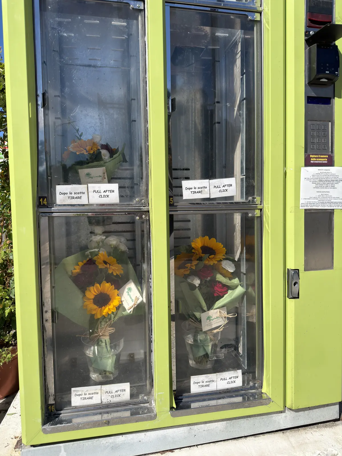 Mazzi di girasoli e fiori pronti dietro le vetrine del distributore