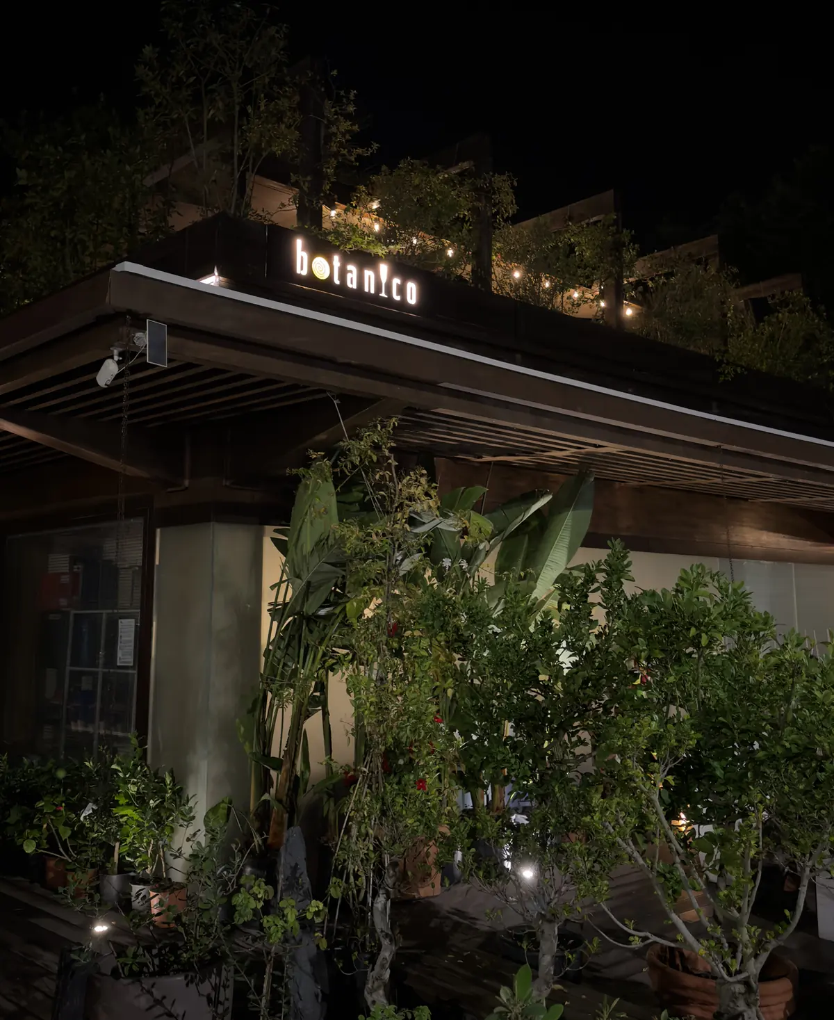 L’ingresso di Botanico a sera: l’insegna accesa, le lucine sulla terrazza e le piante del vivaio