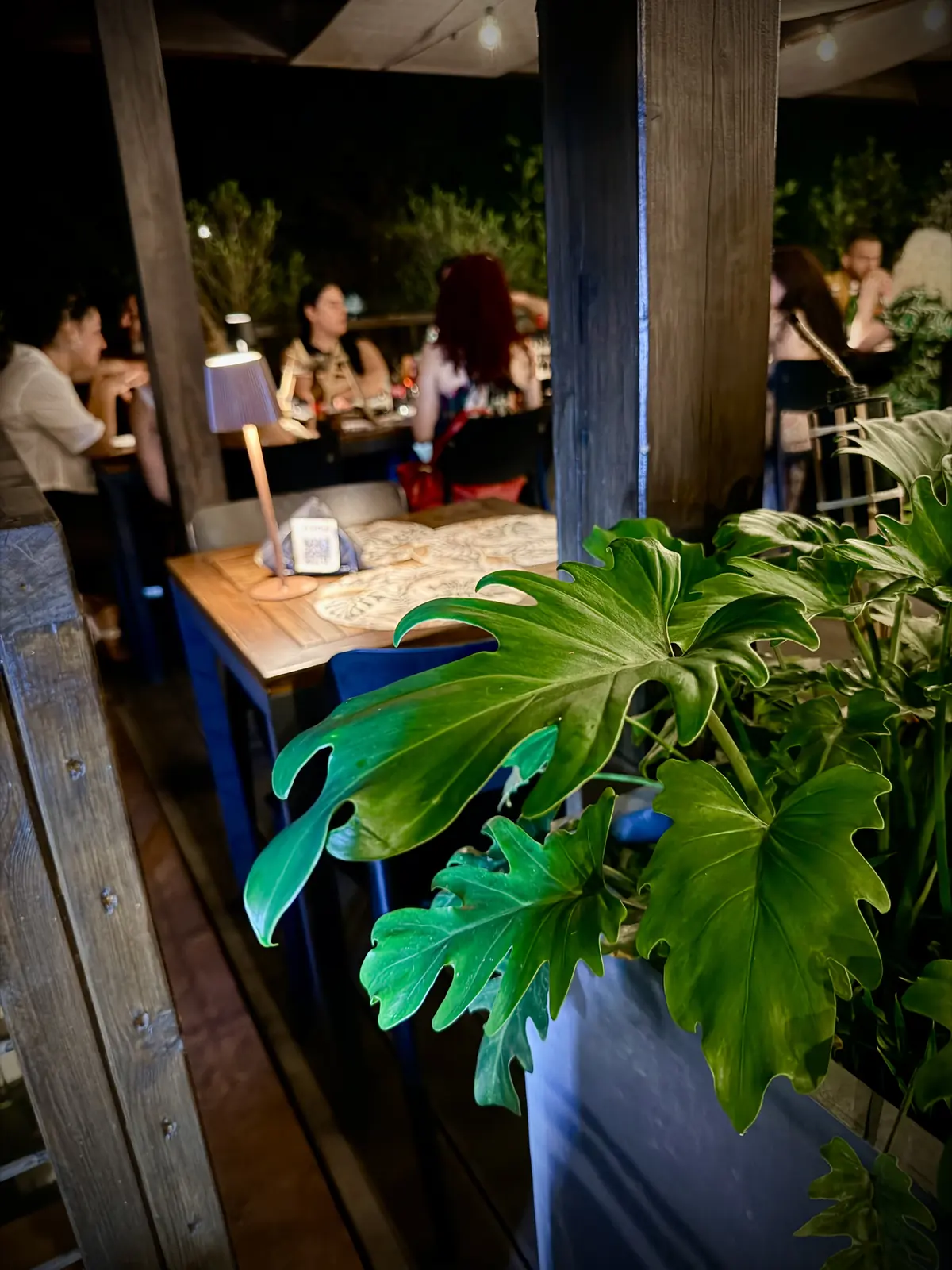 La Terrazza Botanico di sera, tra pergole, piante e tavoli
